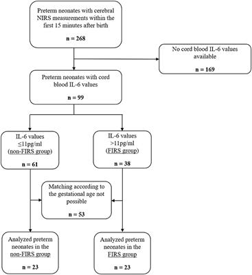 <mark class="highlighted">Fetal Inflammatory Response</mark> Syndrome and Cerebral Oxygenation During Immediate Postnatal Transition in Preterm Neonates